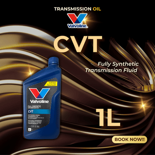 Valvoline CVT Transmission Fluid